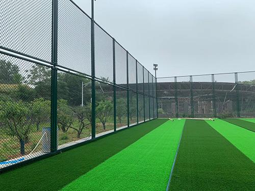 球場圍網