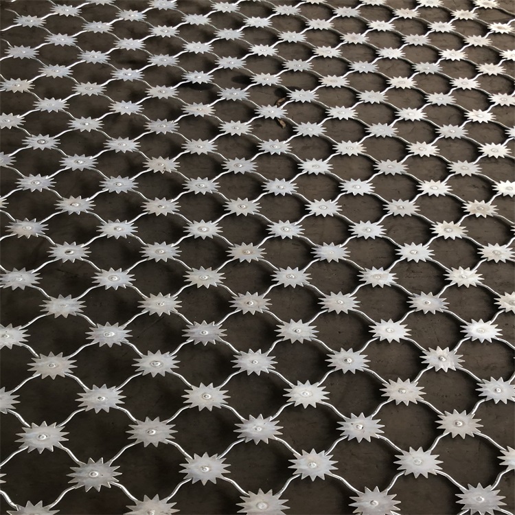 上海監(jiān)獄梅花刺片防護(hù)網(wǎng)圖片4