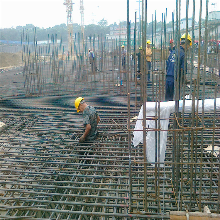 上海建筑焊接網(wǎng)片圖片3