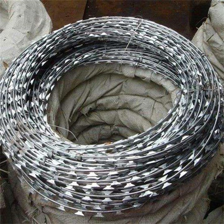 上海鋼絲焊接刀片刺網(wǎng)圖片2