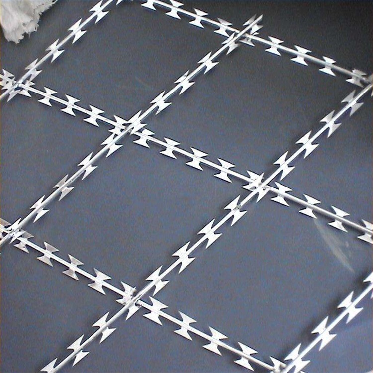 上海刀片滾籠圍網圖片2