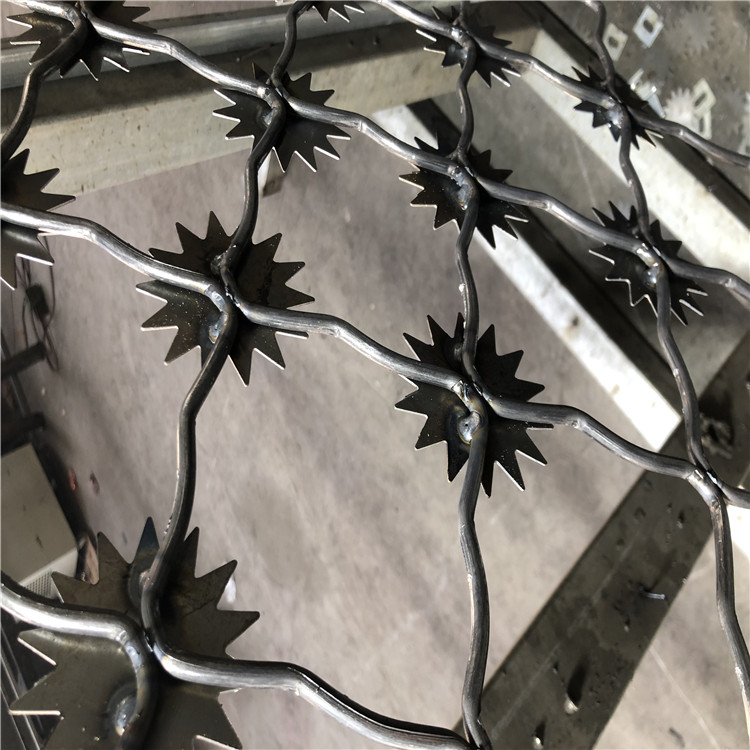 上海梅花刺片防護網圖片4