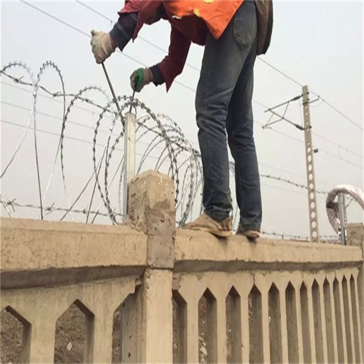 上海雙螺旋刀片刺繩圖片2