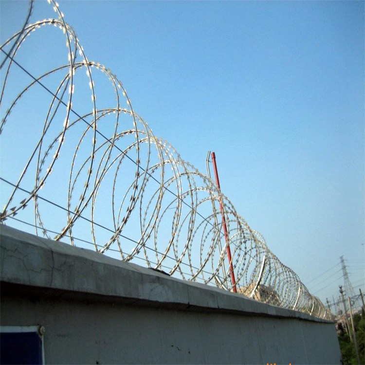 上海雙螺旋刀片刺繩圖片3