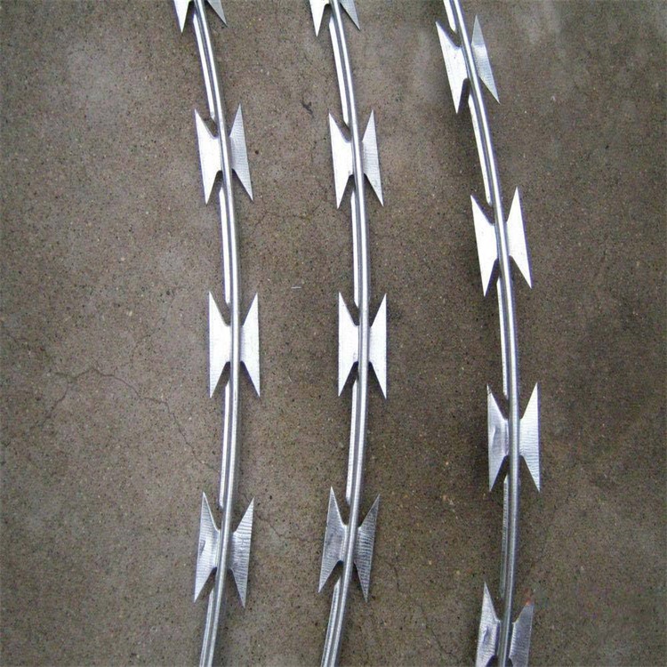 上海直條型刀片刺網圖片4