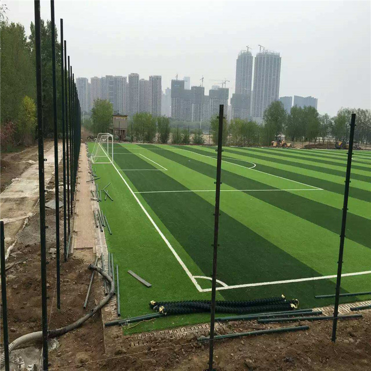 上海扁鐵式球場圍網圖片4