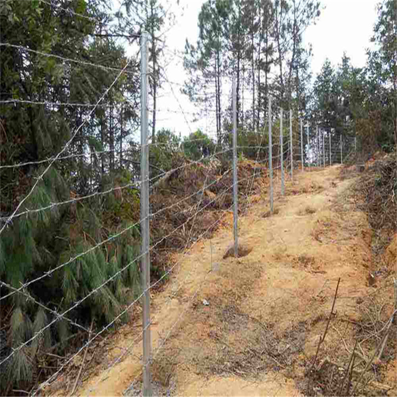 上海刺鐵絲公路圍欄網圖片3