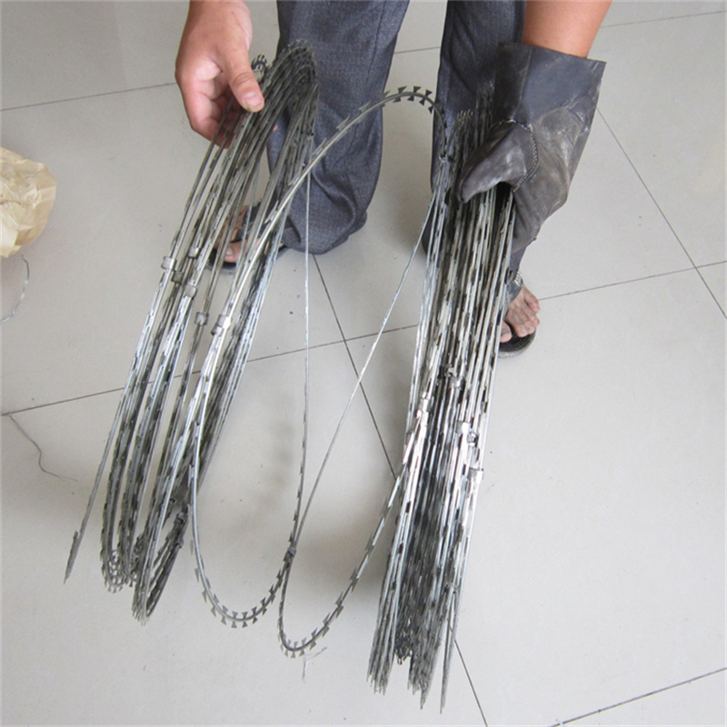 上海監獄蛇腹形刀刺隔離網圖片2