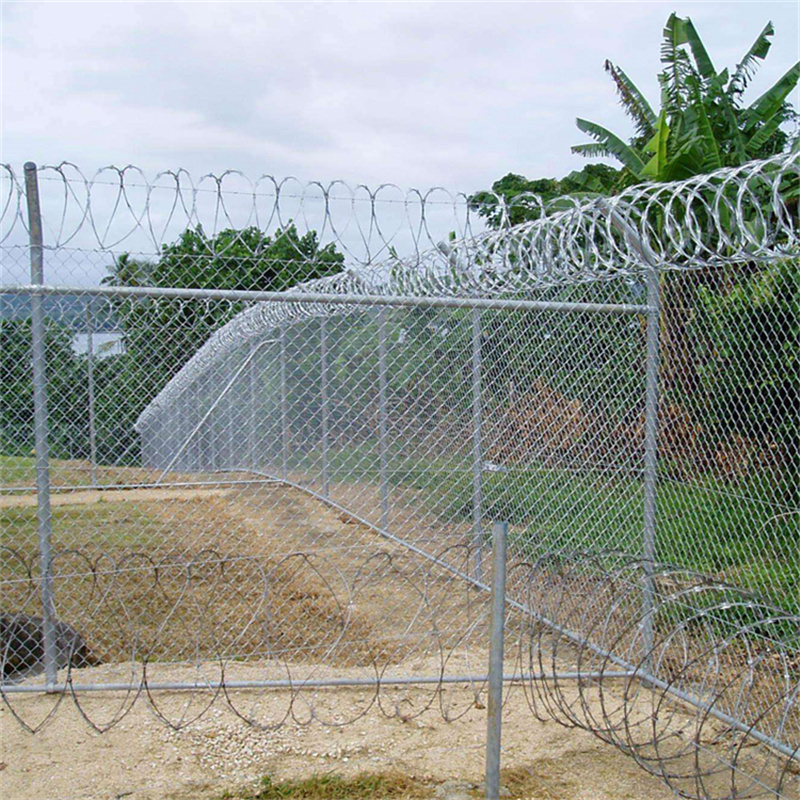 上海監獄蛇腹形刀刺隔離網圖片3