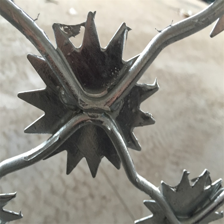 上海監獄太陽花防爬隔離網圖片2