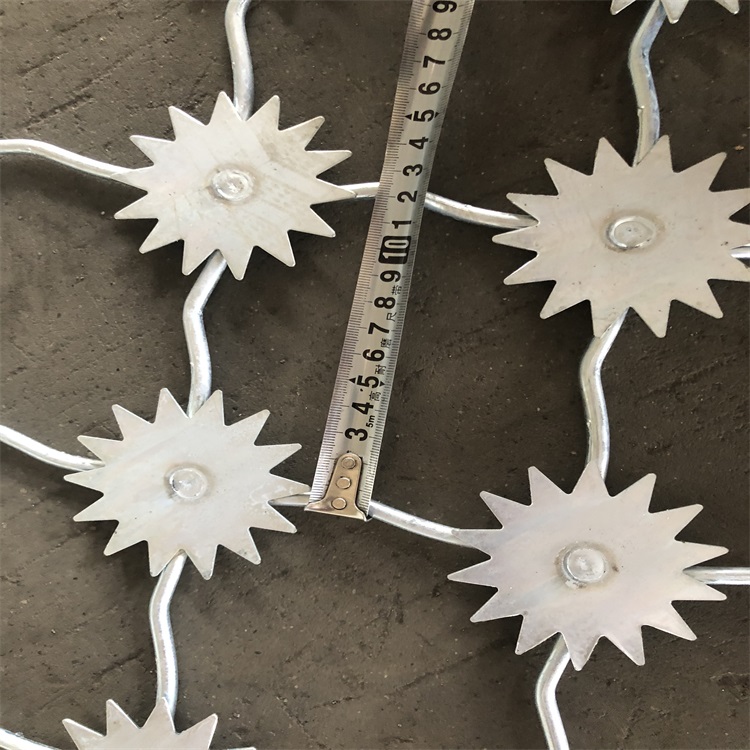 上海監獄太陽花防爬隔離網圖片4