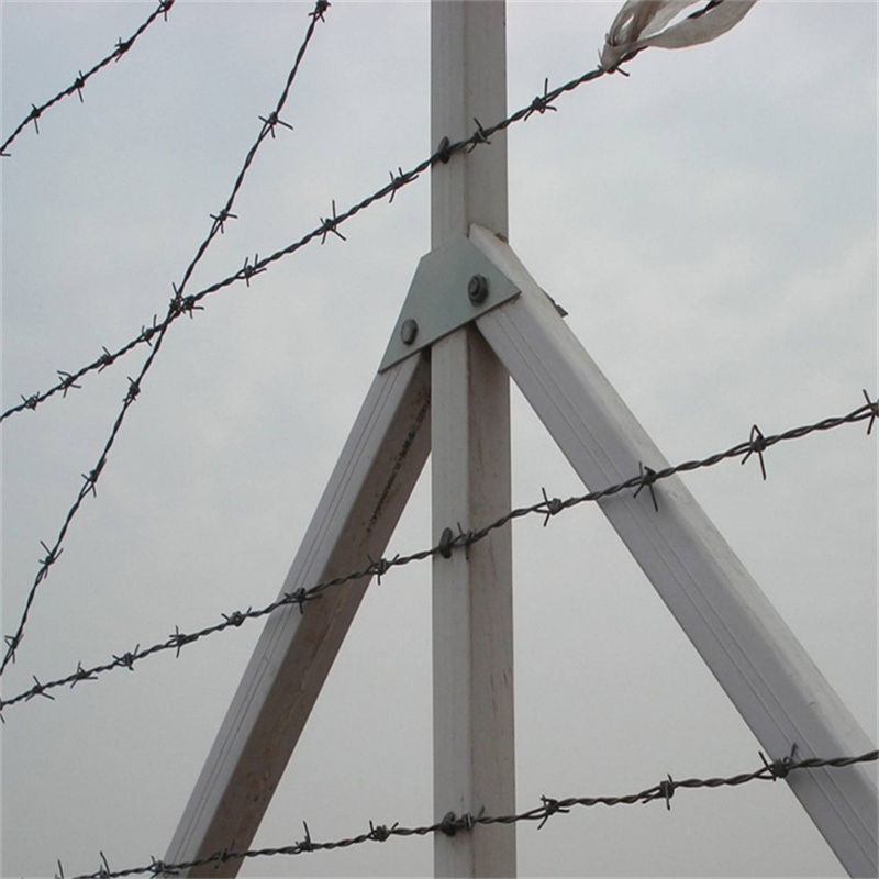 上海鐵蒺藜隔離網