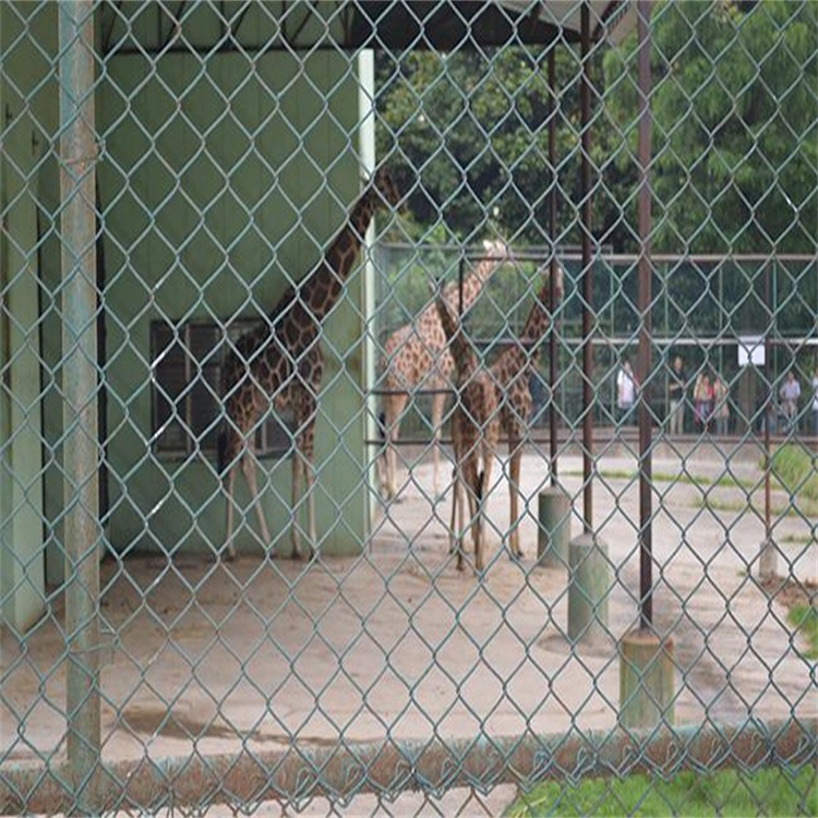 上海生態(tài)修養(yǎng)圍欄圖片1