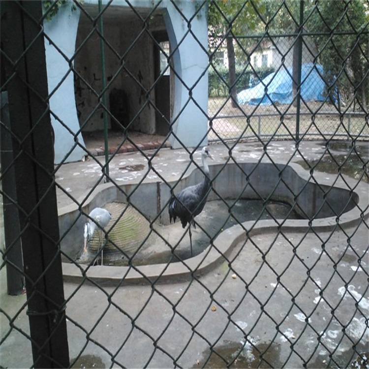 上海生態(tài)修養(yǎng)圍欄圖片2