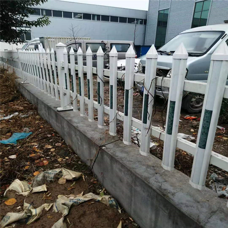 上海城市道路兩側護欄圖片3