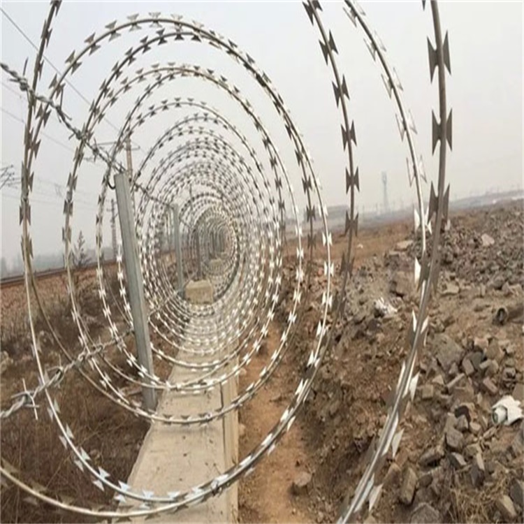 上海刺鐵絲隔離柵圖片4