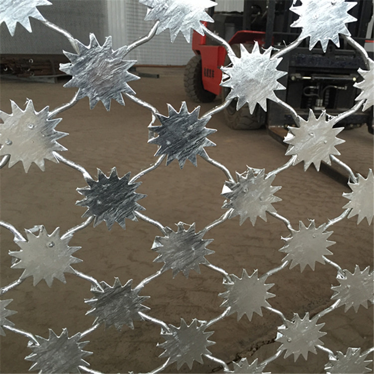 上海梅花刺鋼網(wǎng)墻圖片3