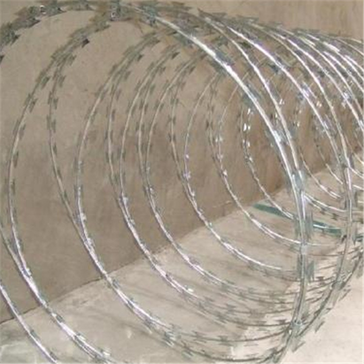 上海刀刺網圖片2