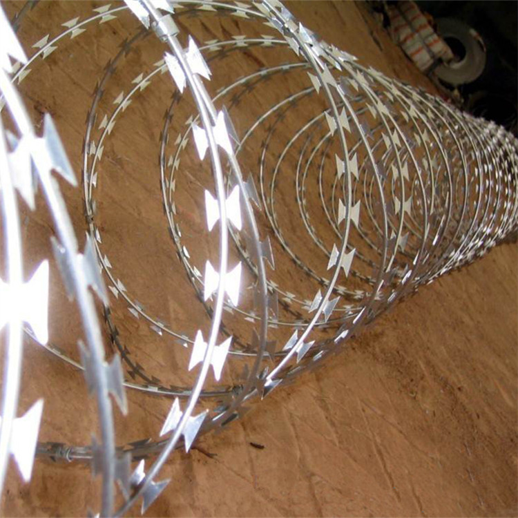 上海刀刺網圖片3