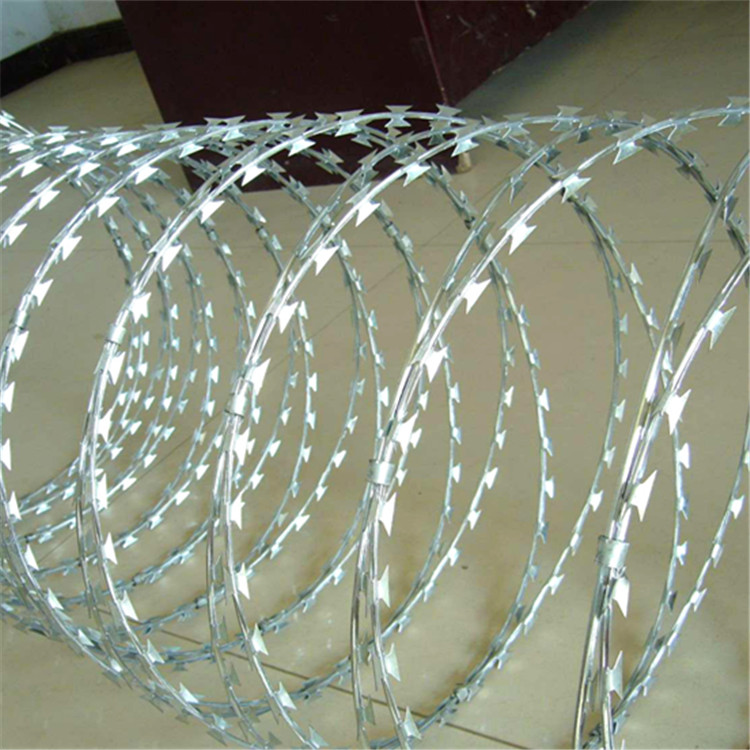 上海刀刺網圖片4