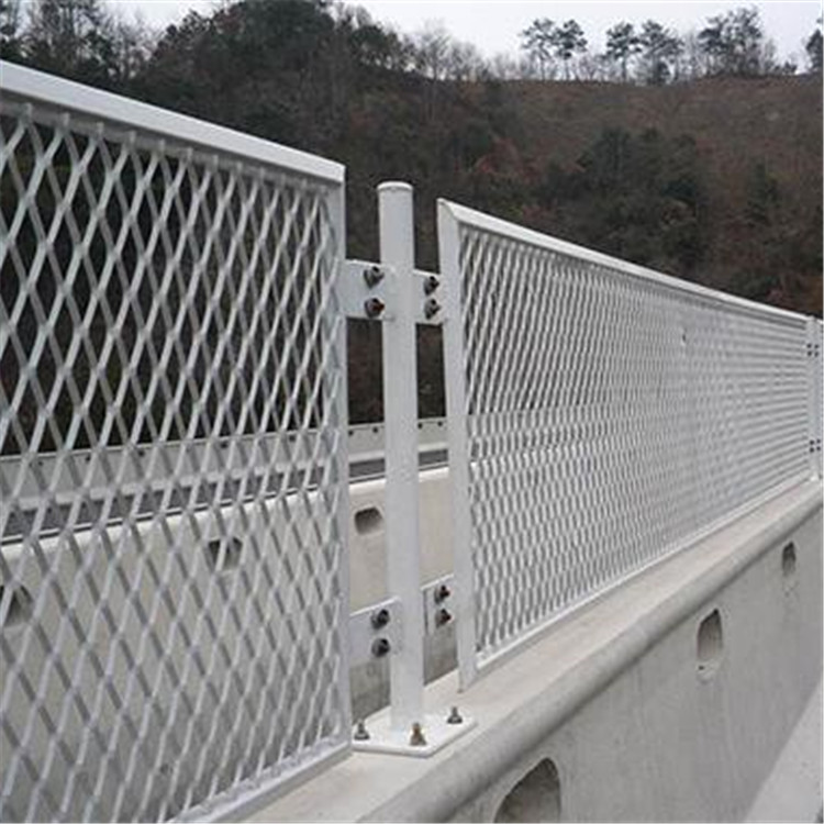 上海防眩網圖片4