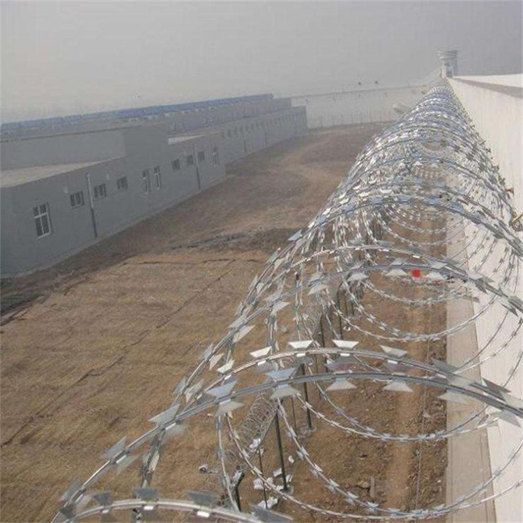 上海不銹鋼刀刺網圖片4