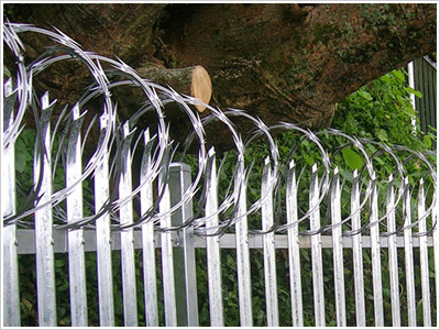 蛇腹型不銹鋼刀片刺網(wǎng)圖片2