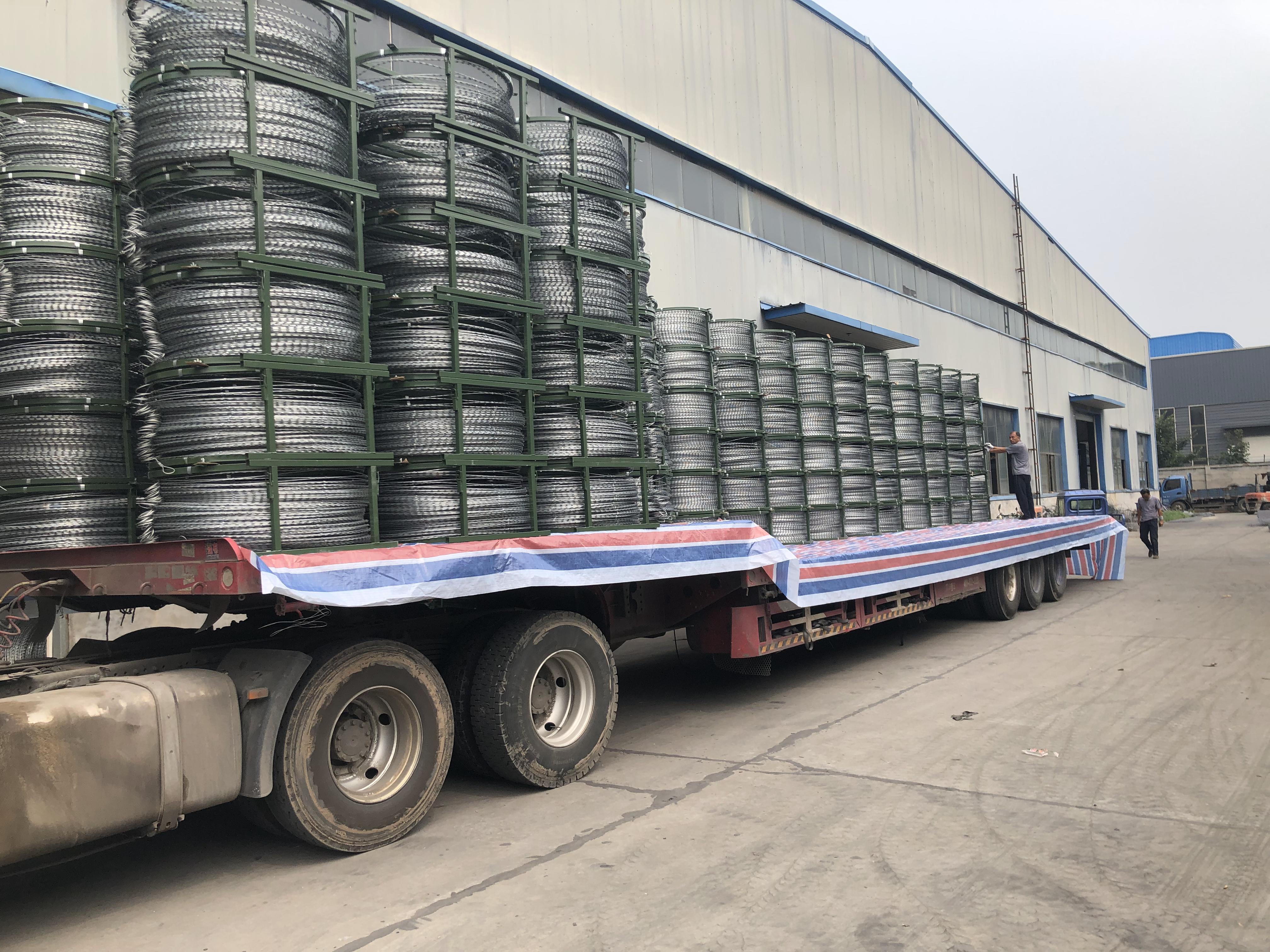 上海監(jiān)獄專用不銹鋼刺刀圈圖片3