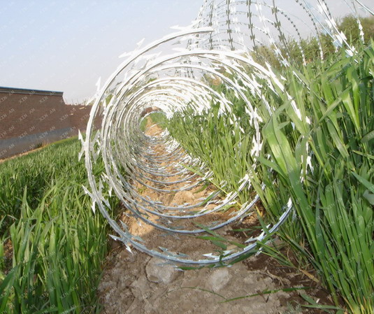 上海鐵路專用刺絲滾籠圖片2