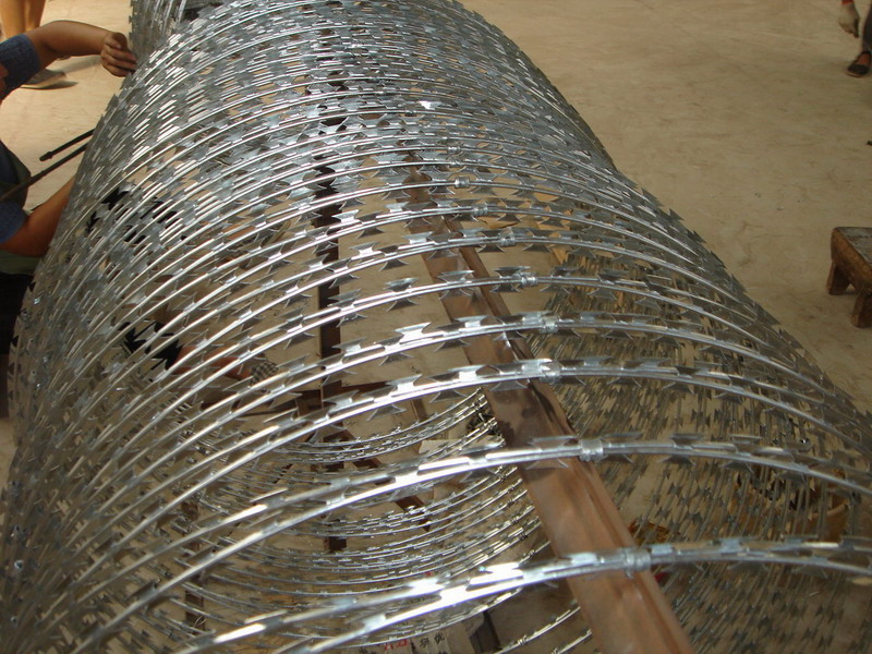 蛇腹式刀刺網(wǎng)鋼網(wǎng)墻圖片2