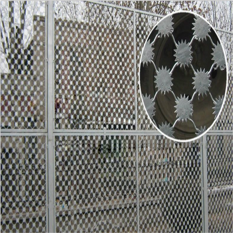 上海監獄梅花刺片隔離鋼網墻圖片1
