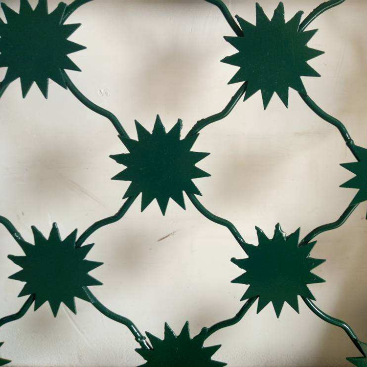 上海監獄梅花刺片隔離鋼網墻圖片3