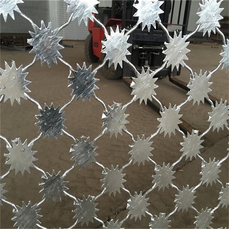 上海監獄梅花刺片隔離鋼網墻圖片4