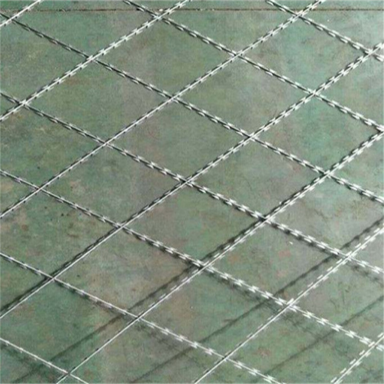 上海監(jiān)獄焊接刀刺網(wǎng)圖片2