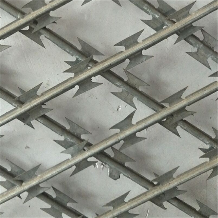 上海監(jiān)獄焊接刀刺網(wǎng)圖片3
