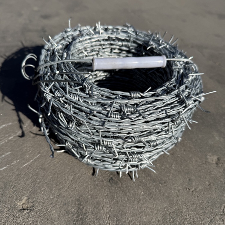 鍍鋅刺繩圖片2