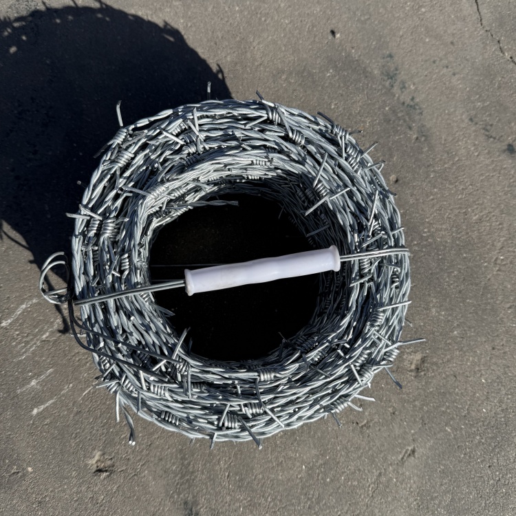 鍍鋅刺繩圖片3