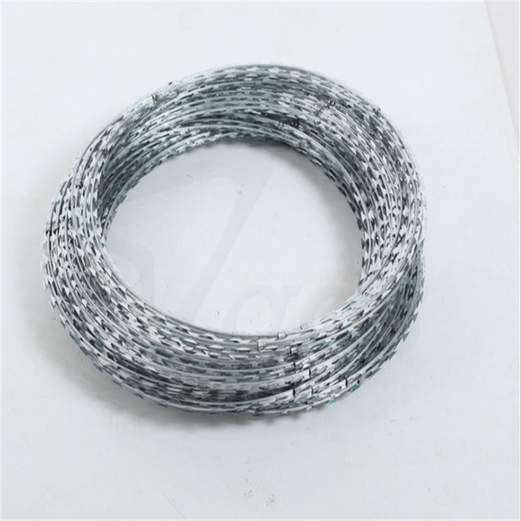 上海螺旋式刀刺網圖片4